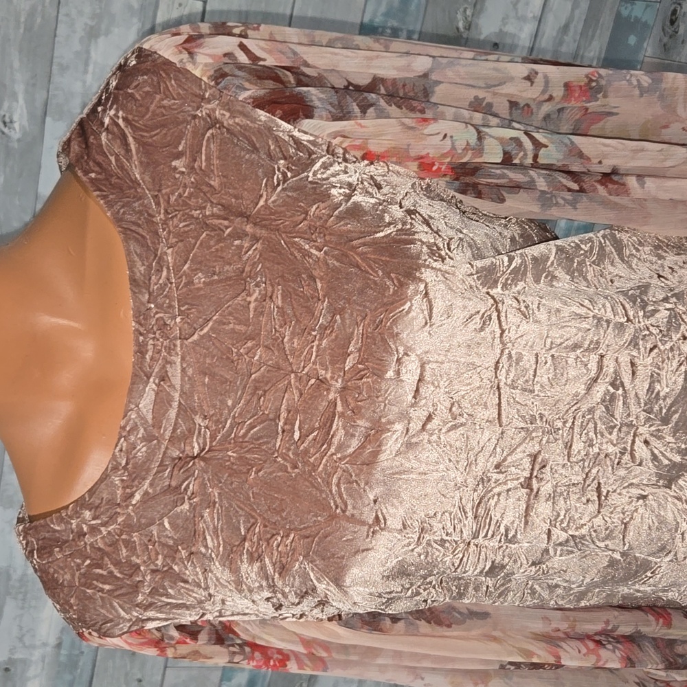 Meadow Rue Velvet Floral Blouse in Brown and Cream Sheer Floral Sleeve X-Small - Picture 2 of 6